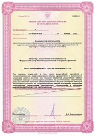 Лицензия № ЛО-11-01-002436 от 10.11.2020 г.